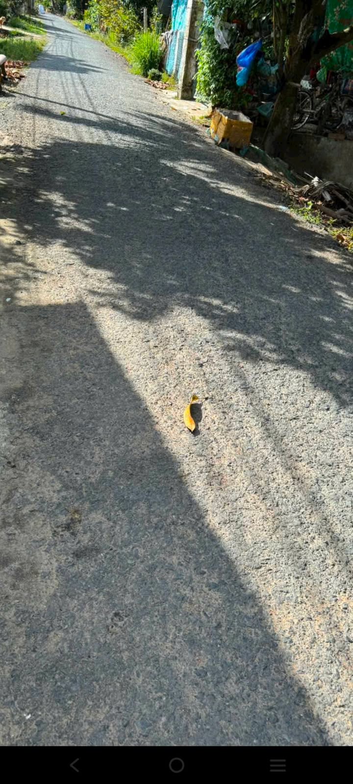 Đất nền xã Bình Thành 120m² giá 330 triệu - Pháp lý đầy đủ, cơ hội đầu tư tốt!