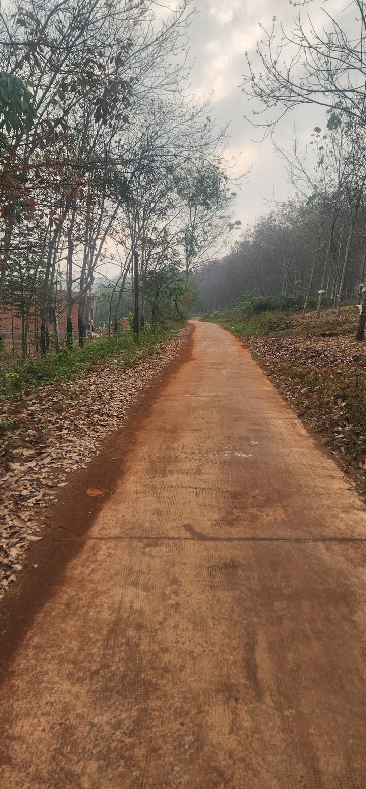 Đất Farm 1,3ha tại Xã Tân Quan - Giá chỉ 1,3 tỷ - Tiềm năng đầu tư lớn!