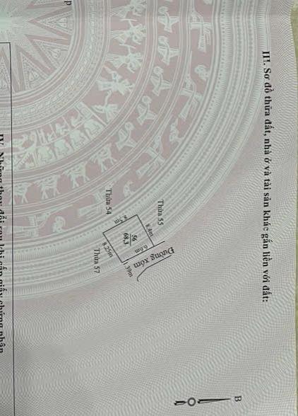 Đất nền Gia Tiến, Gia Lộc 68.3m² giá chỉ 900 triệu - Cơ hội đầu tư tuyệt vời!