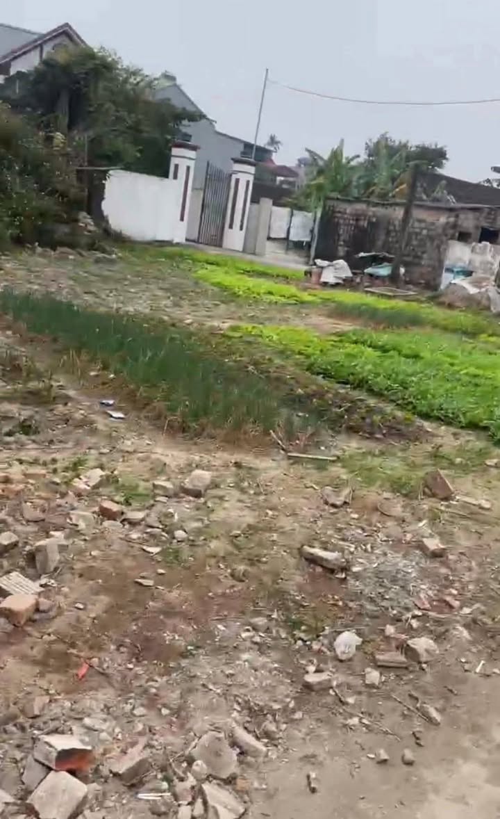 Đất nền Hải Long, Như Thanh 205m² giá 6.357 tỷ - Ô tô vào tận đất!