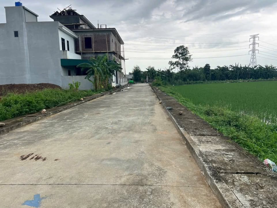 Đất thổ cư xã Cầu Lộc 213m² - Vị trí đẹp, sổ đỏ chính chủ!