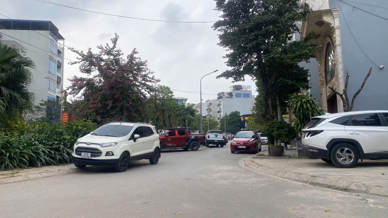 Đất nền 100m² đường Vườn Đào, Đông Anh - Giá thỏa thuận, vị trí đắc địa!