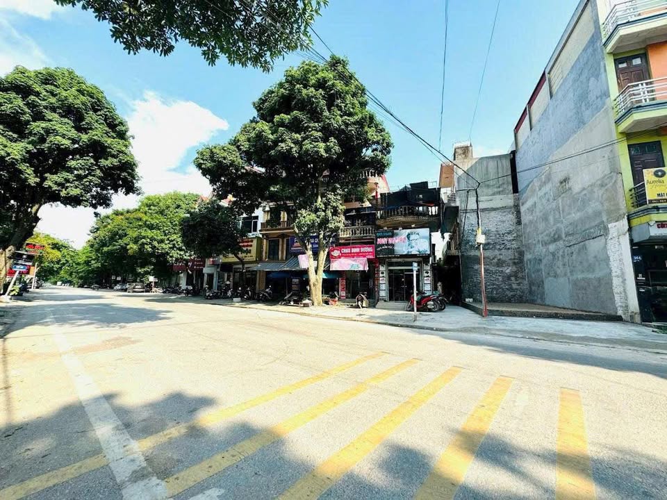 Đất nền mặt đường Cao Lỗ, Quận Long Biên 40m² - Đầu tư sinh lời ngay!