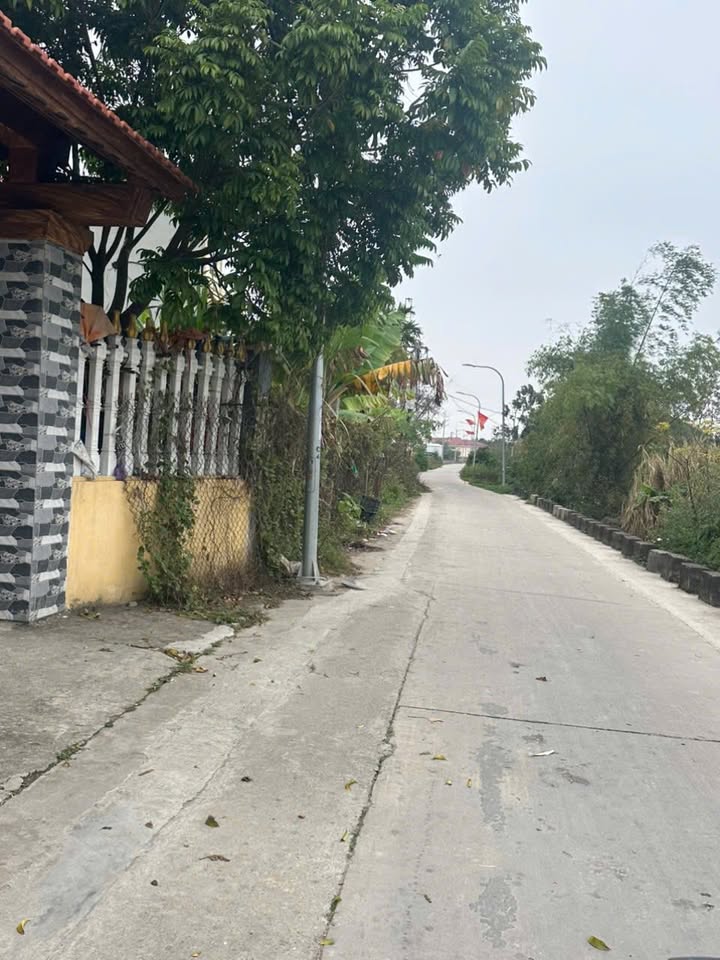 Lô đất CCG Đào Viên Bắc Ninh 125m² - Đầu tư sinh lời, vị trí tuyệt vời!