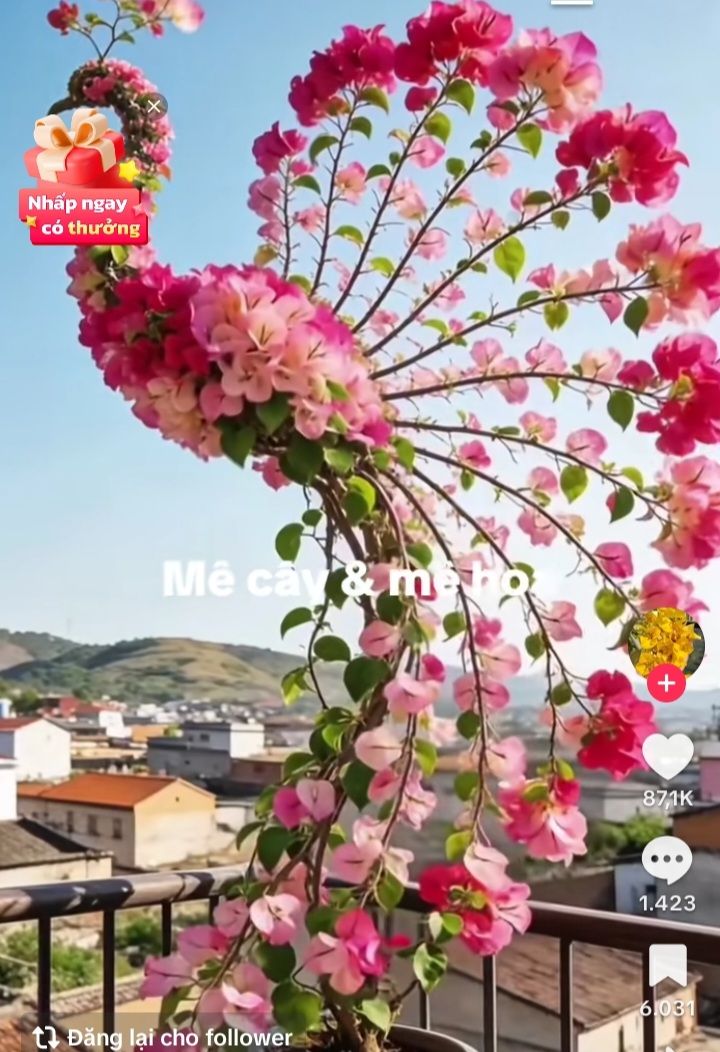 Nhà trọ mặt tiền hẻm 122 Nguyễn Thông, 339m² giá 7.5 tỷ - Đầu tư sinh lời ngay!