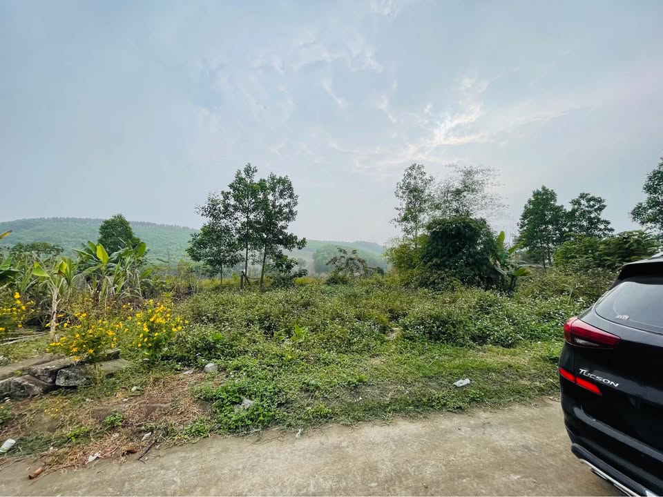 Đất thổ cư Xã Tân Cương 96m² giá 600 triệu - Cơ hội đầu tư tuyệt vời!