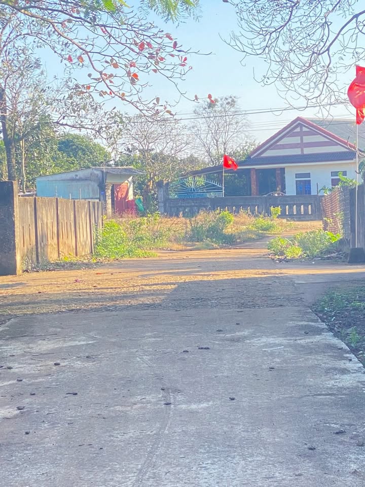 Đất nền tại thị trấn Hồ Xá, Quảng Trị 256m² - Sổ đỏ chính chủ!