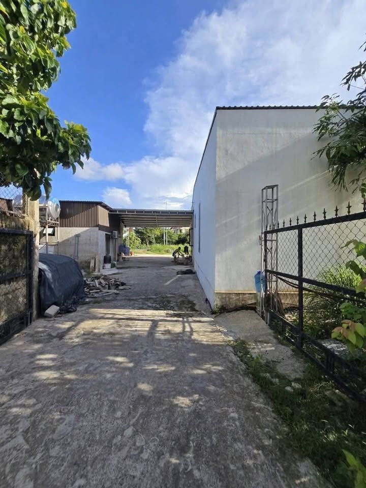 Đất kiệt Hàn Mặc Tử, Đông Lễ, 105m² giá 9xx triệu - Đường ô tô thuận tiện!