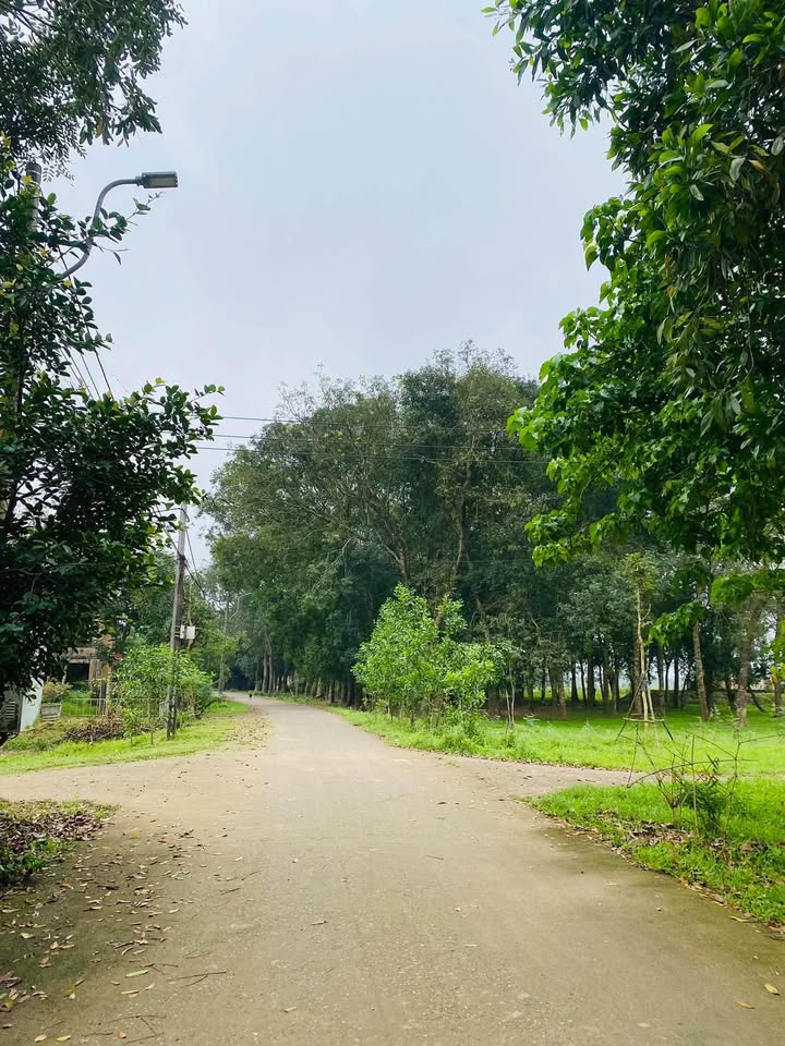 FrontHouse Đông Lương Đông Hà 130m² giá 500 triệu - Góc 2 mặt tiền đường thông thoáng!