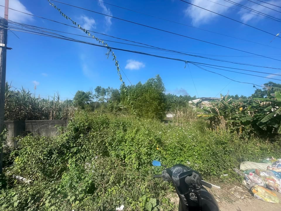 Mặt tiền 73 Đông, Huyện Gio Linh, 450m² - Đầu tư sinh lời ngay!