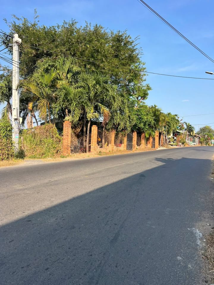 Đất thổ cư 263m² tại đường Hải Thượng Lãn Ông, Hàm Thuận Bắc - Giá chỉ 2 tỷ!