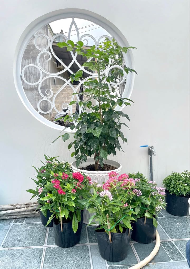 Nhà mới xây trên đường Ngô Đức Tốn, Phan Thiết 100m² giá 1.49 tỷ - Sân đậu ô tô thoải mái