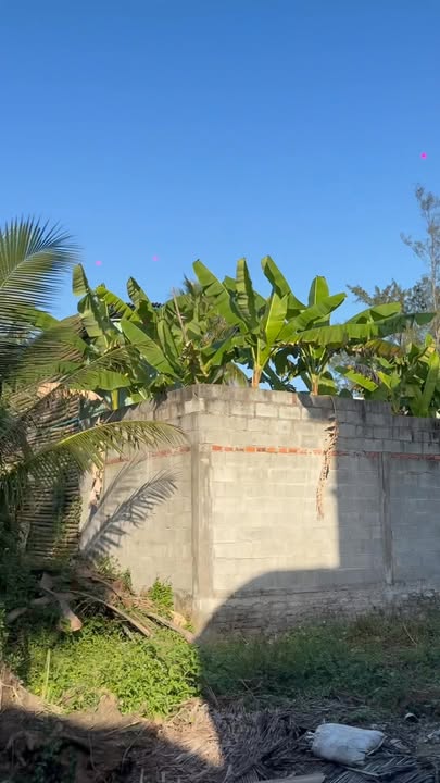 Đất biển Tân Thành, Hội An 250m² giá thỏa thuận - Cơ hội đầu tư tuyệt vời!