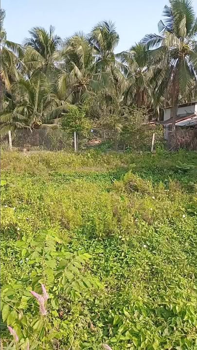 Đất thổ cư chính chủ tại khu phố 8, phường Trung An, Mỹ Tho 72m² giá 855 triệu - Đầu tư sinh lời nhanh!