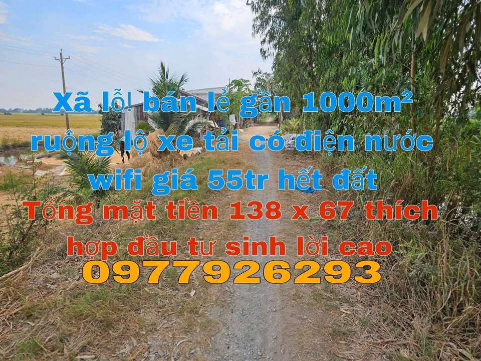 Đất nền mặt tiền Đá Xanh, Phú Hiệp 9246m² giá 110 triệu - Cơ hội đầu tư tuyệt vời!