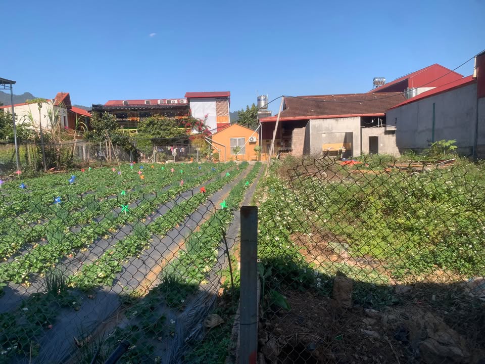 Đất nền 2 mặt tiền Phường Đông Sang 594m² giá 400 triệu - Đầu tư lý tưởng cho homestay!