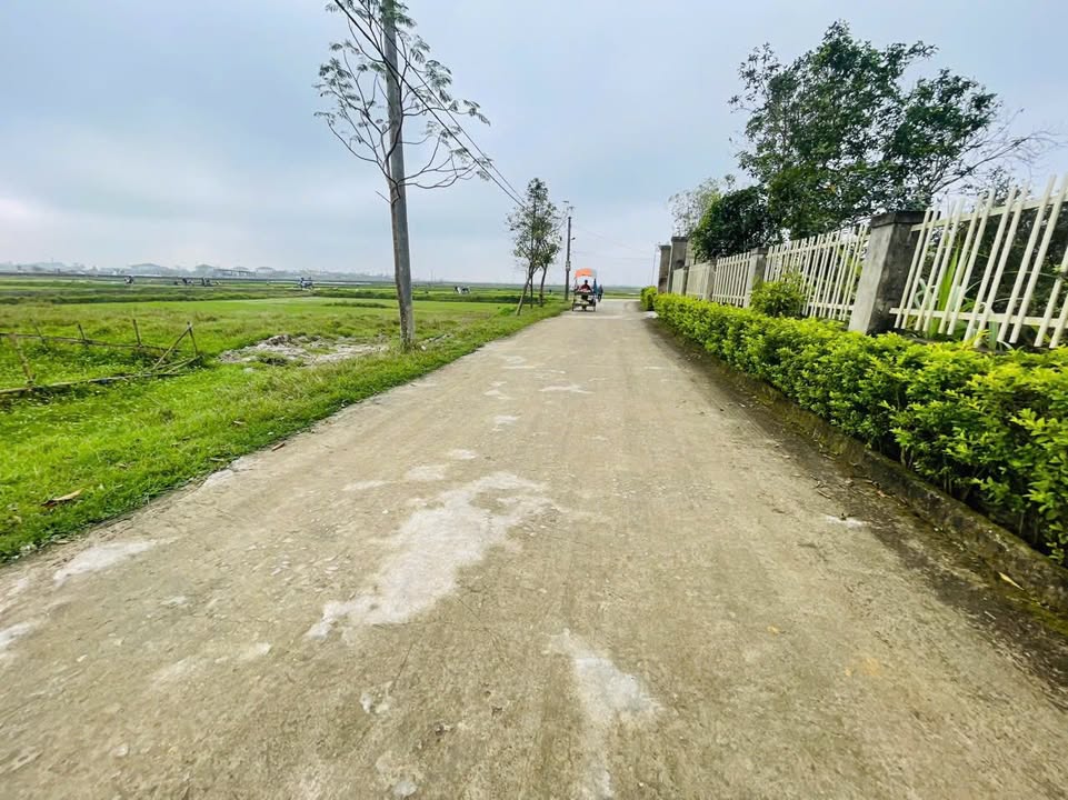 Đất quy hoạch đẹp tại TL20, Thạch Mỹ, 275m² - Giá chỉ 1.1 tỷ!