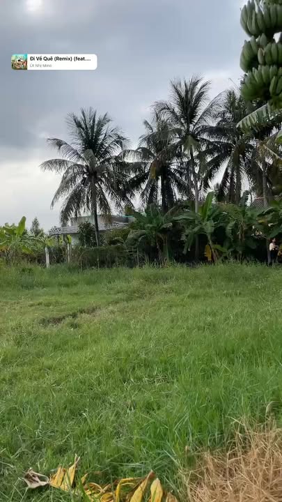 Đất nền thổ cư 205m² tại Tân Phú Đông, Tiền Giang - Giá chỉ 195 triệu!