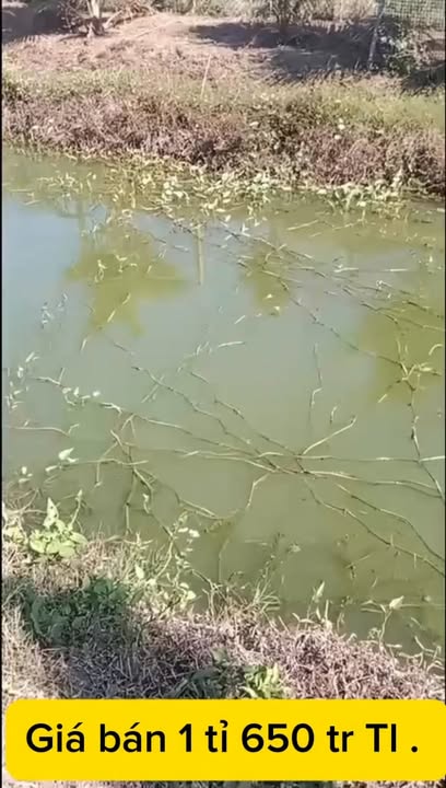 Đất vườn Đắk N'Drót, Đắk Mil 1440m² giá 1.65 tỷ - Đầu tư sinh lời ngay!