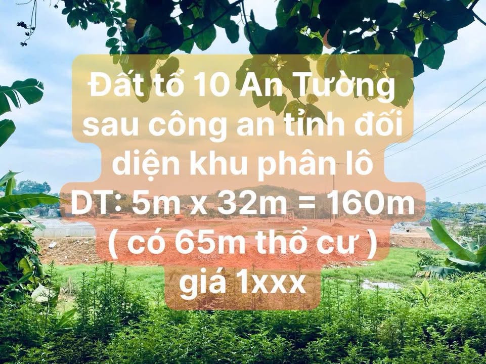 Đất nền Tổ 10 An Tường, 160m², giá thỏa thuận - Tiềm năng sinh lời cao