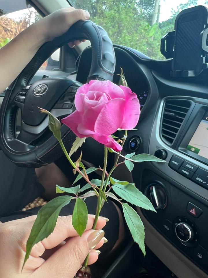 Căn hộ tầng 2 Phường Hữu Nghị 38m² giá thỏa thuận - Sẵn sàng ở ngay!