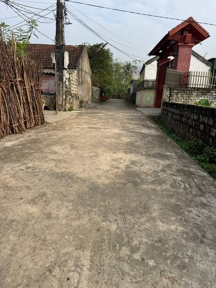 Đất nền xã Bắc Thành, Yên Thành 360m² giá chỉ 800 triệu - Cơ hội đầu tư hấp dẫn!