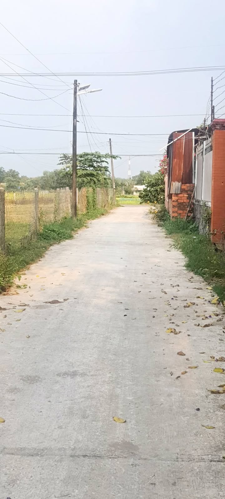 Đất vườn An Nhơn Tây, Củ Chi 360m² giá 1.75 tỷ - Cơ hội đầu tư lý tưởng!