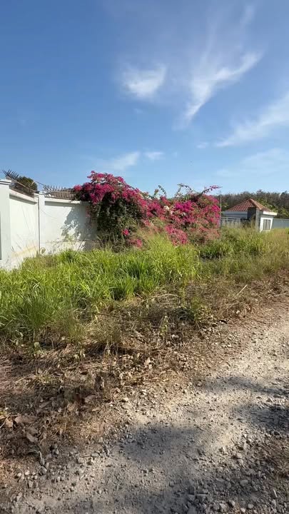 Đất nền 700m² Thị trấn Lai Uyên, Bàu Bàng chỉ 1.65 tỷ - Đầu tư sinh lời hấp dẫn!