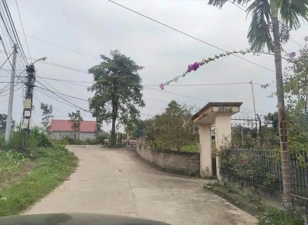 Đất nền Phú Xá 100m² giá tốt - Cơ hội đầu tư F0 tuyệt vời!