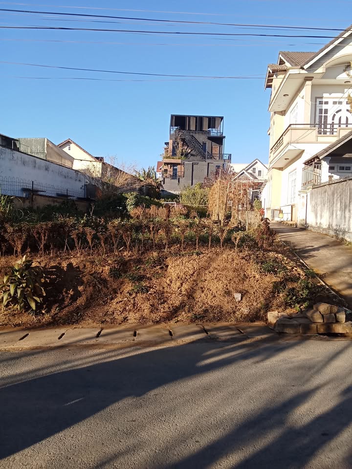 Đất nền Phường 8 Đà Lạt 314m² - Lô 2 mặt tiền đường chính Vạn Hạnh