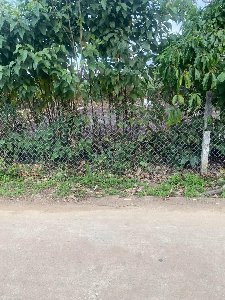 Đất nền thổ cư 875m² tại Thị trấn Đinh Văn - Giá chỉ 1.05 tỷ