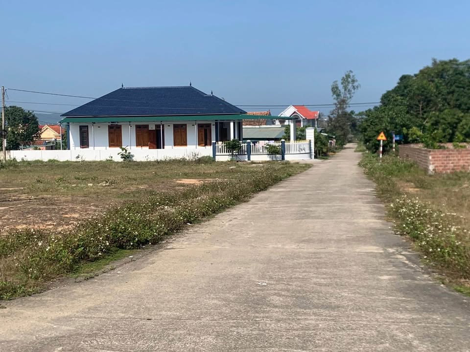 Đất nền thôn 5, xã Đại Trạch, 270m² chỉ từ 700 triệu - Đầu tư sinh lời ngay!