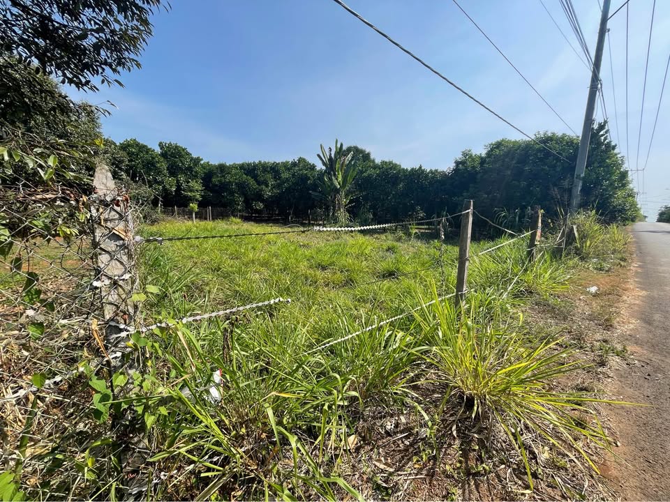 Lô Đất Mặt Tiền Đường Nhựa Bình Lộc 396.7m² giá 1.65 tỷ - Đầu tư sinh lời ngay!