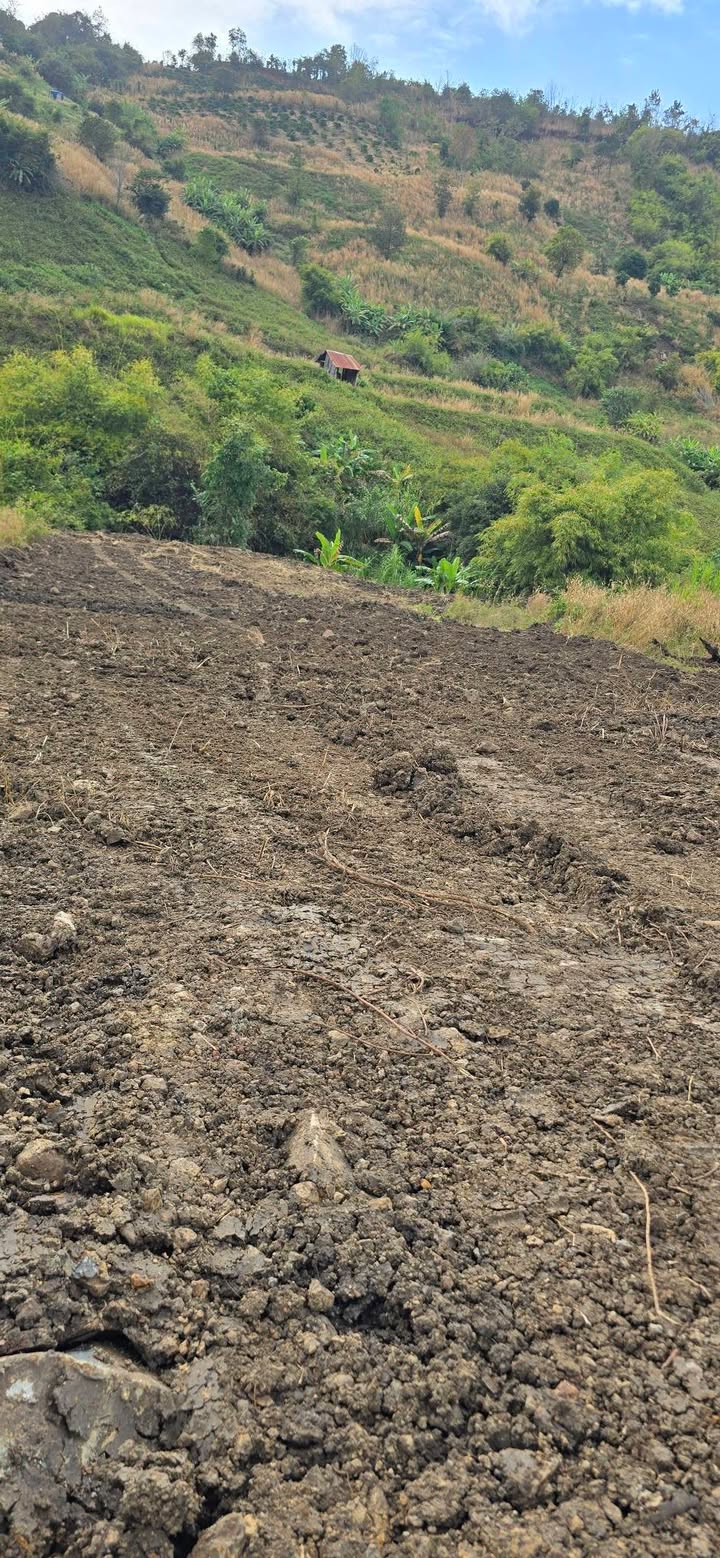 Đất nền 8000m² xã Đạ Ròn, Lâm Đồng giá 320 triệu - Sổ hồng chính chủ