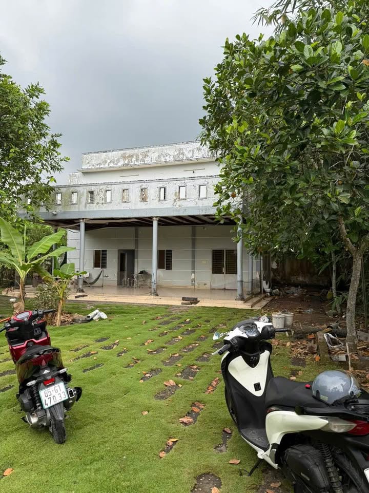 Mảnh vườn nghỉ dưỡng tại đường Trương Vĩnh Nguyên 1241m² - Giá thỏa thuận, view sông tuyệt đẹp!