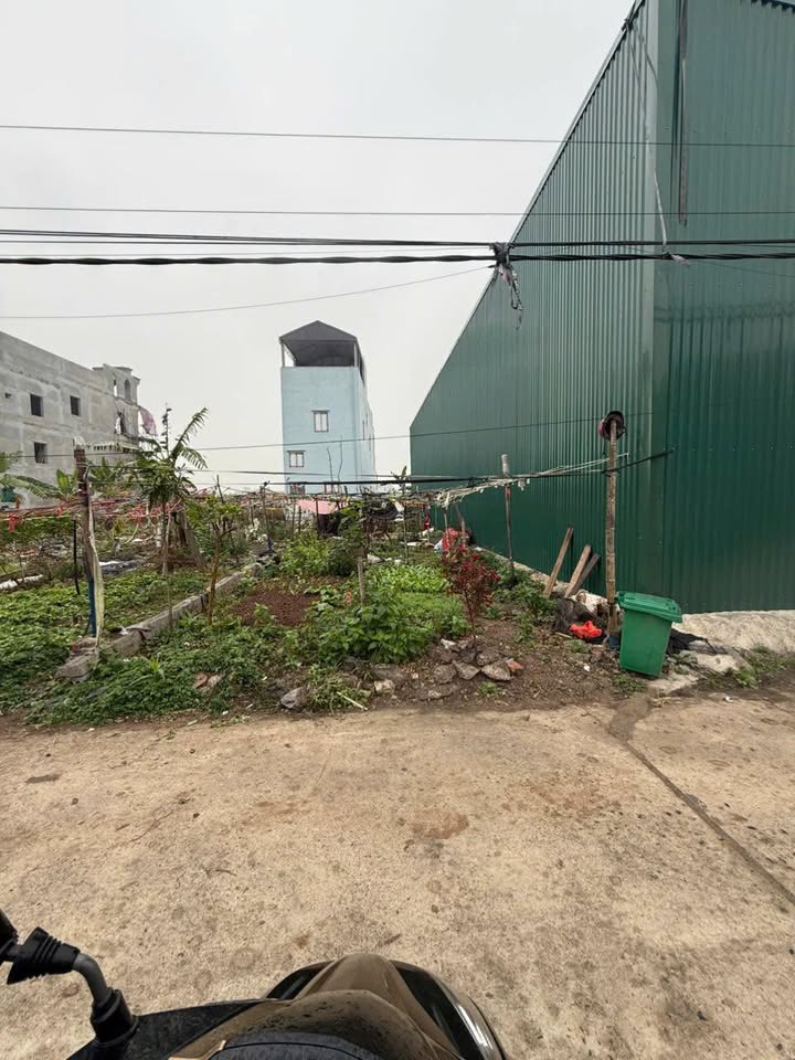 Đất đấu giá Đồng Soi - Phú Túc - 124.8m² giá chỉ 3 tỷ - Sổ đỏ chính chủ!