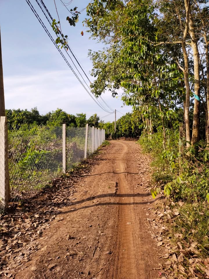 Đất Farm Suối Nho, Định Quán 18,000m² giá 1.5 tỷ - Đất đẹp, bằng phẳng!