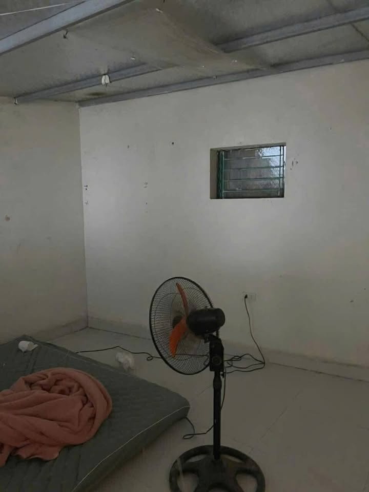 Nhà cấp 4 cho thuê tại Cẩm Thượng, Hải Dương - Phù hợp cho gia đình trẻ!