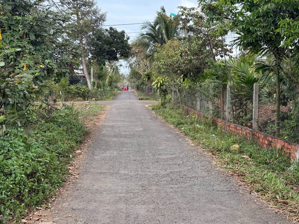 Đất nền liền kề Phường Tân An - 100m² giá tốt chỉ dưới 2 tỷ!