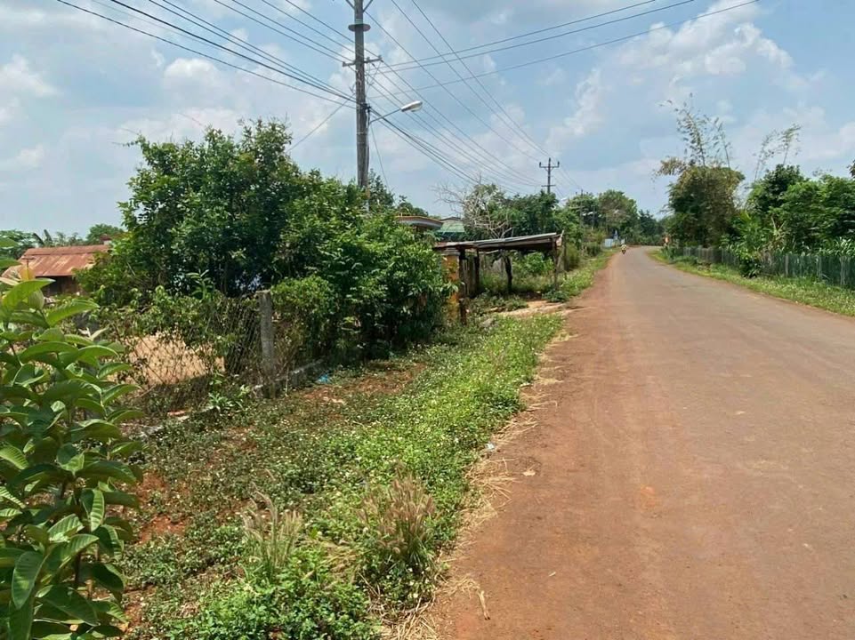 Đất nền tại xã Ea Kiết, huyện Cư M'gar, 750m² – Giá thỏa thuận chính chủ!