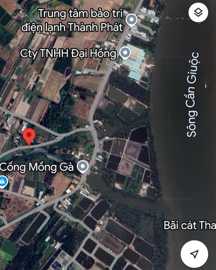 Đất thổ cư 320m² mặt tiền Đê bao sông Mồng Gà - Giá chỉ 2.56 tỷ, thương lượng ngay!