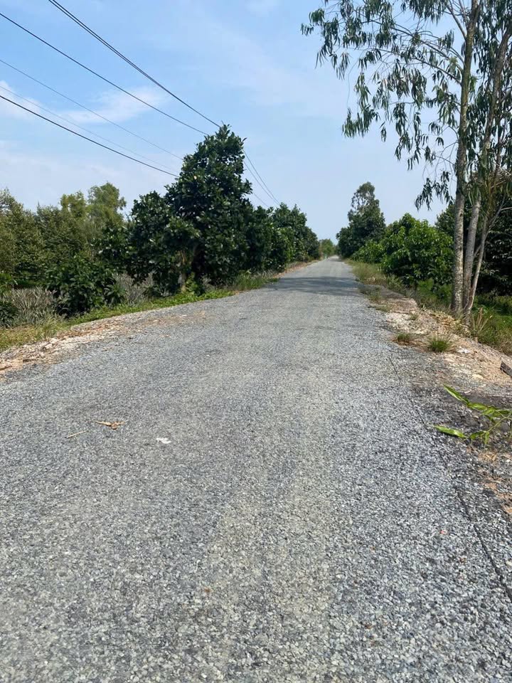 Đất nền 29 x 242m tại Xã Tân Phước 1, Đồng Tháp - Giá chỉ 1.75 tỷ - Sổ đỏ chính chủ!