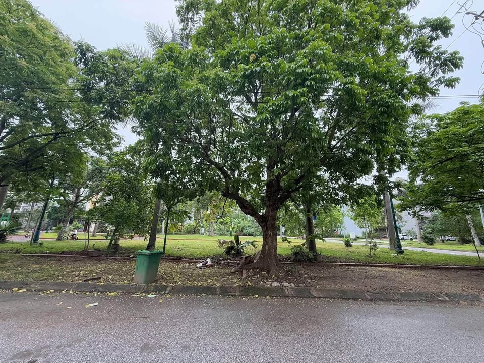 Đất nền Phúc Sơn Vũ Ninh 80m² giá 7 tỷ - Tiềm năng đầu tư lớn!