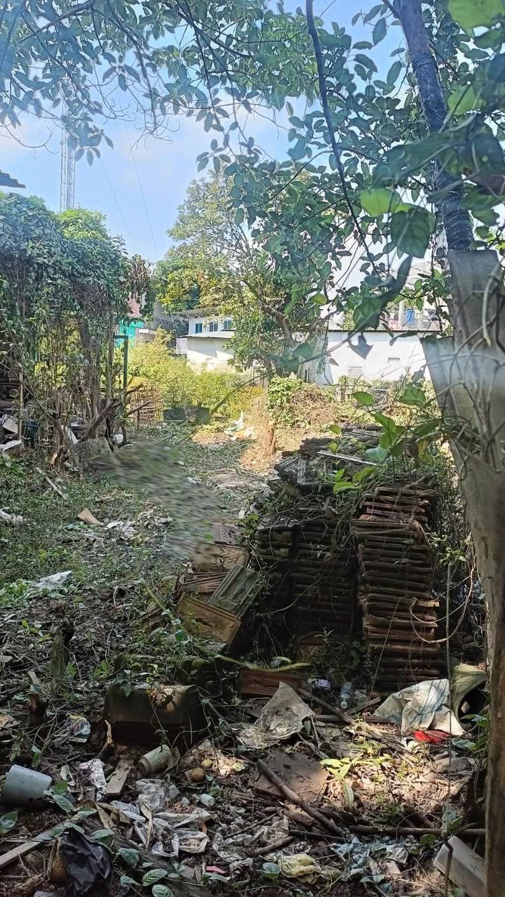 Đất nền tại Lại Thế, Phường Mỹ Thượng, TP Huế 101m² giá 1.3 tỷ - Đầu tư sinh lời lý tưởng!