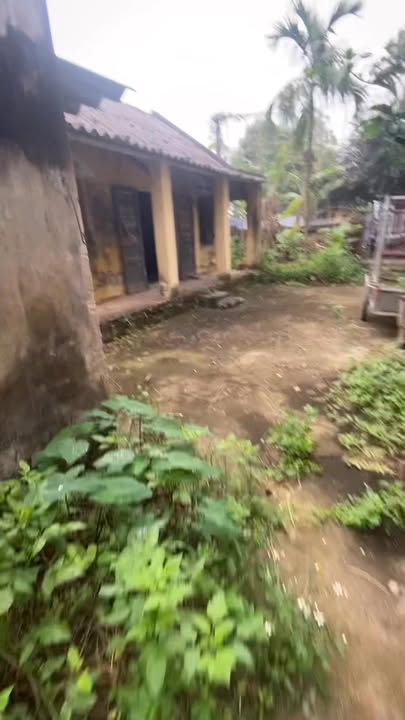 Đất thổ cư 200m² tại xã Quỳnh Hưng, huyện Quỳnh Phụ giá 700 triệu - Cơ hội đầu tư hấp dẫn!