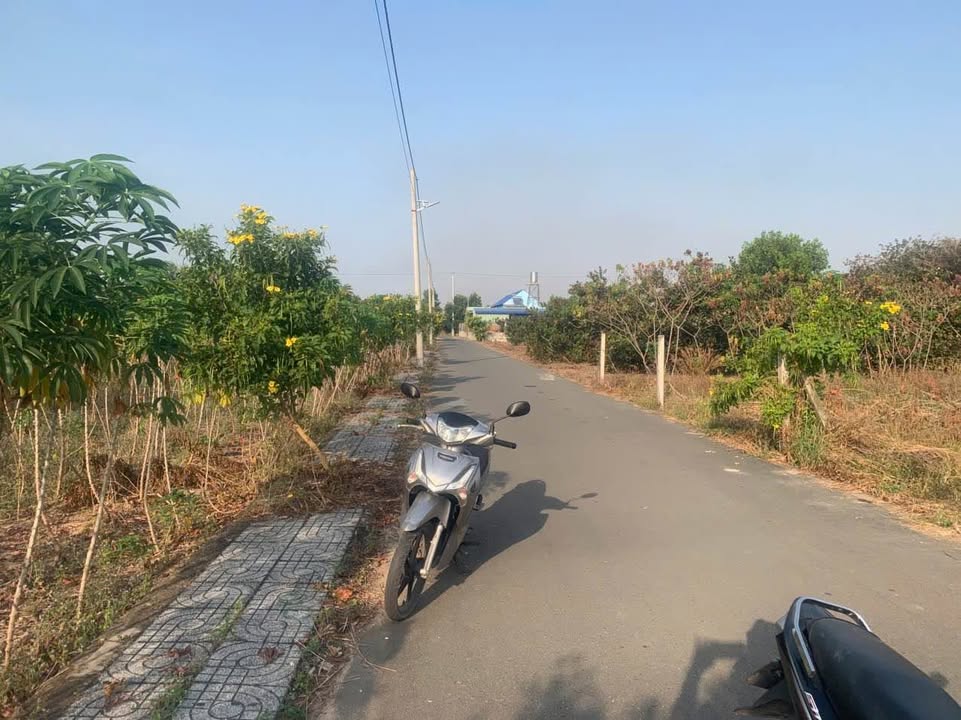 Đất nền mặt tiền đường nhựa Thơ Lê, Hắc Dịch, 900m² giá 1.4 tỷ - Cơ hội đầu tư lý tưởng!