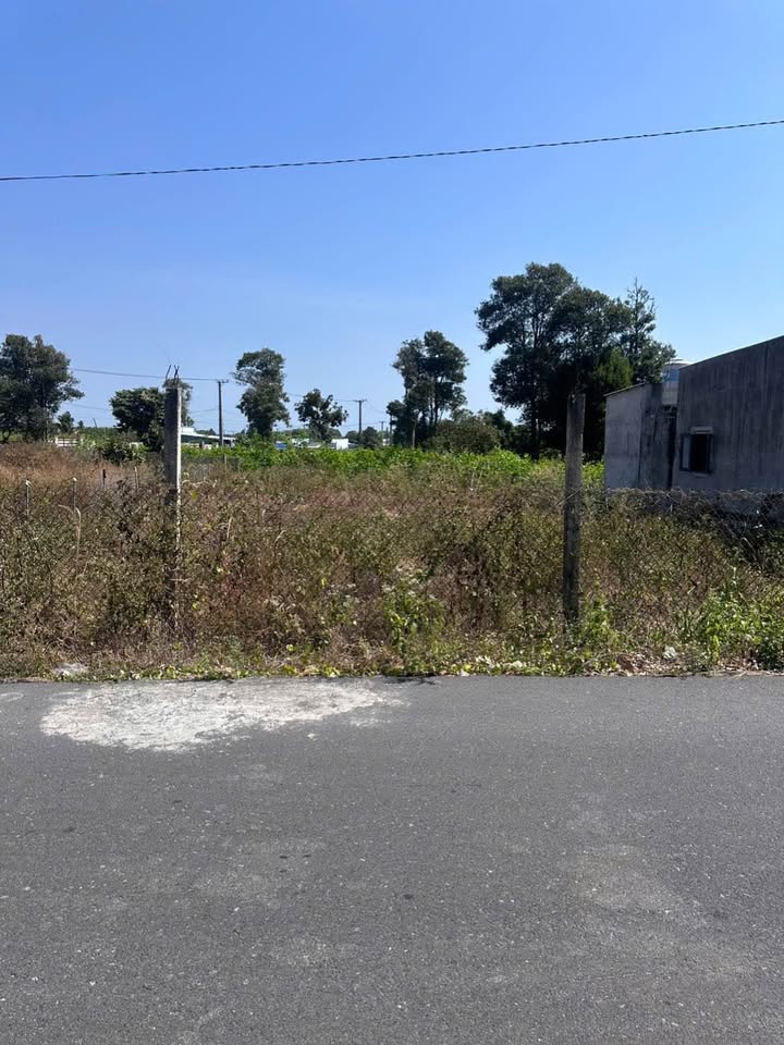 Đất nền 400m² Thị trấn Phước Hải giá chỉ 2.4 tỷ - Xây nhà vườn lý tưởng!