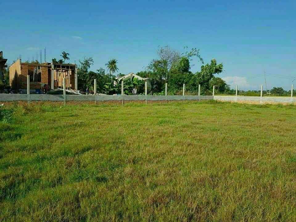 Đất Farm Nghĩa Dũng - Quảng Ngãi 1575m² giá 1 tỷ - Tiềm năng đầu tư lớn!