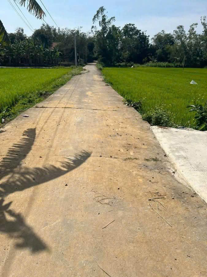 Đất nền Bình Trung, Bình Sơn 108m² giá thỏa thuận - Đường ô tô thông thoáng