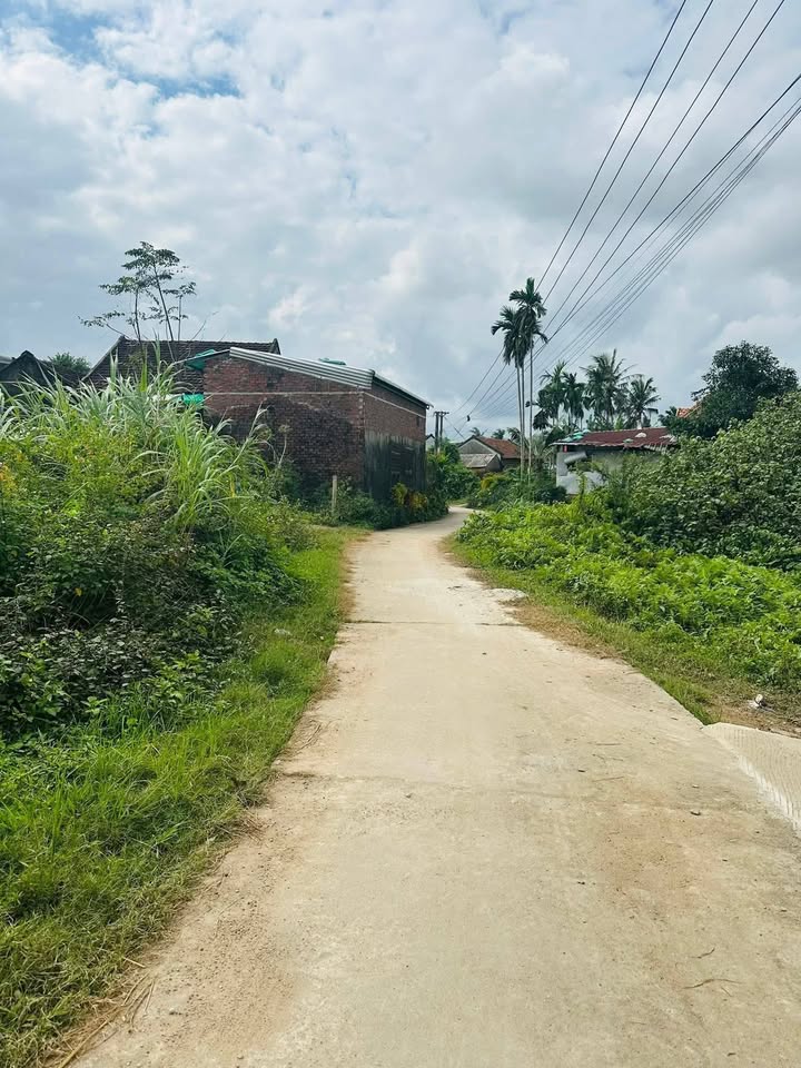 Đất nền liền kề xã Đức Phong, 300m² chỉ 500 triệu - Cơ hội đầu tư hấp dẫn!